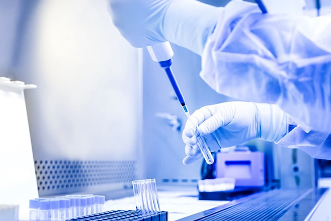 欧陆平台网站上线通知